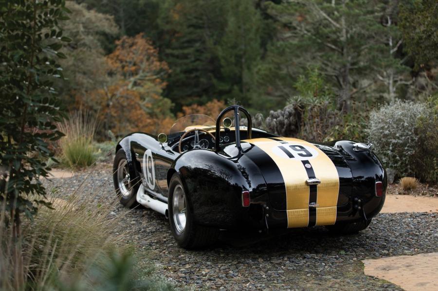  Shelby Cobra 289 Competition (19) 1964 года  (фото 2 из 12)